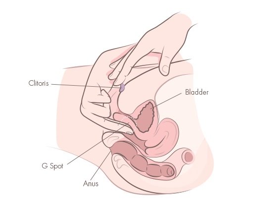Klitoris und G-Punkt