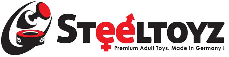 steeltoyz logo