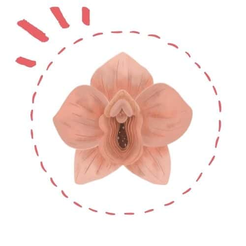  Strapless Dildo vaginal einführen