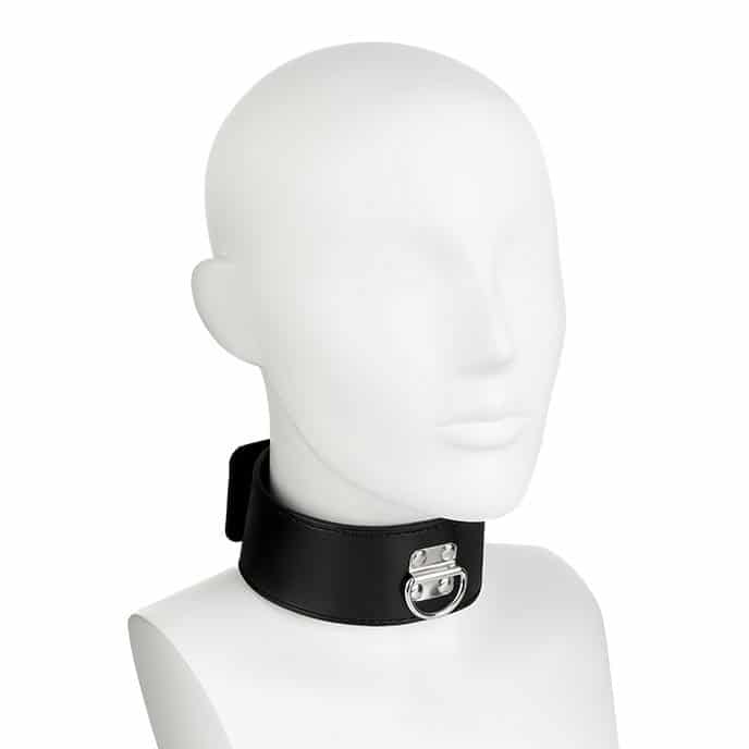 Product Halsband mit Schloss und Leine