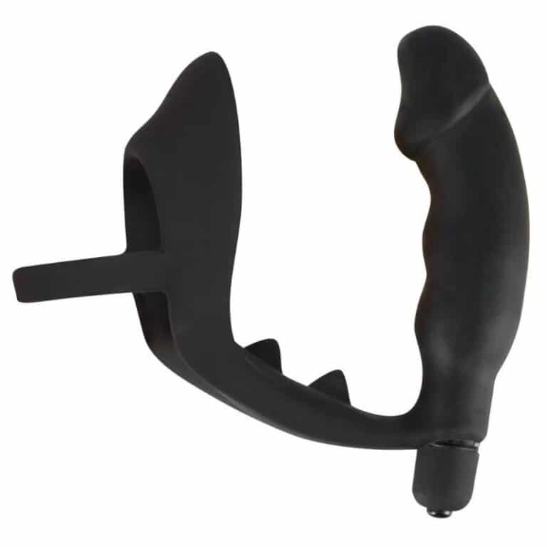 Penis- und Hodenring „Ring & Vibro Plug“ mit Vibro-Analplug Review