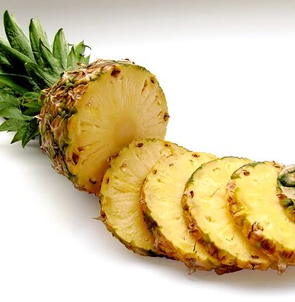 Rasierschaum 'Intimate Care Coco & Pineapple' - Optimale Hilfsmittel für ein nachhaltig befriedigendes Fisting